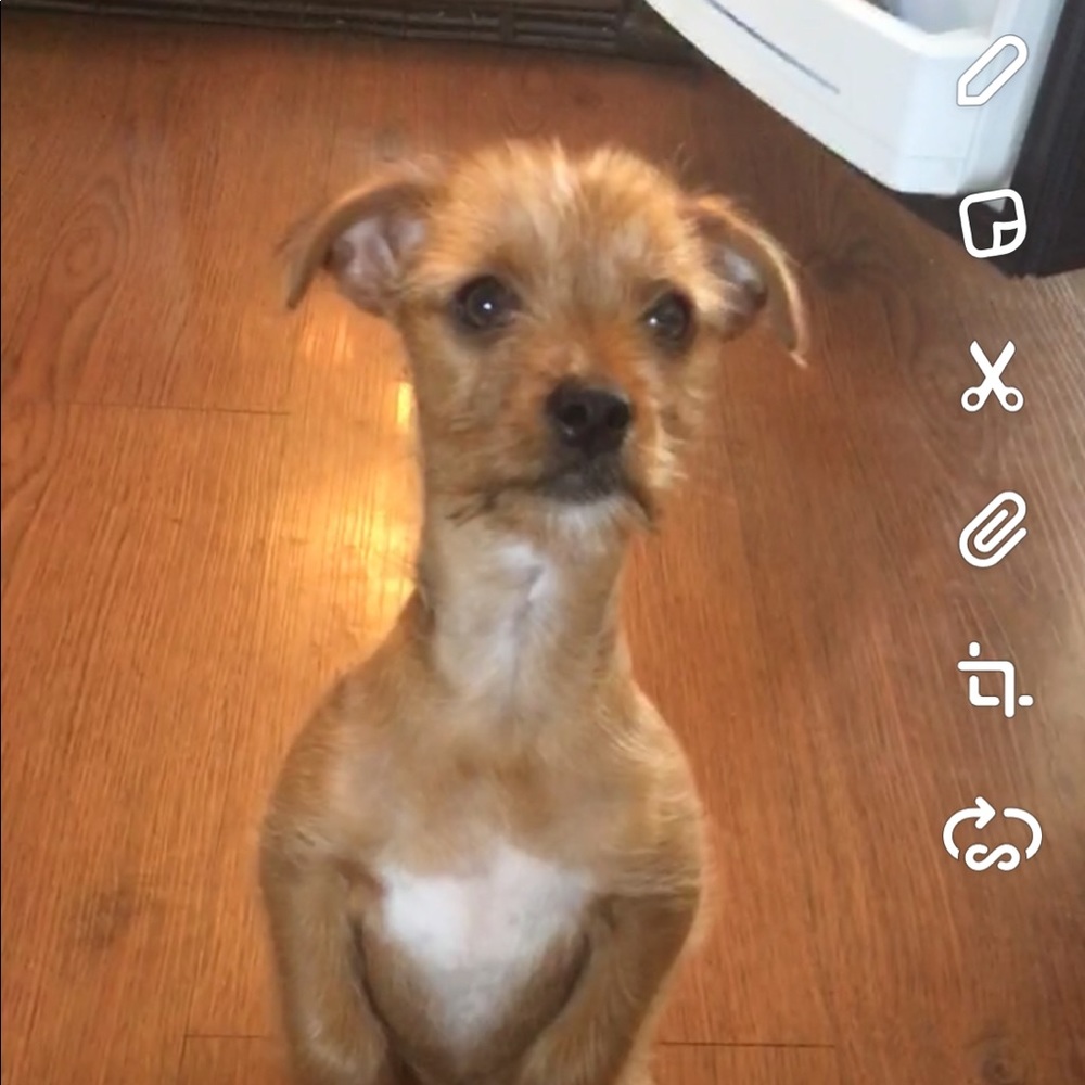 Meet your Posher, Keira